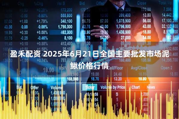 盈禾配资 2025年6月21日全国主要批发市场泥鳅价格行情