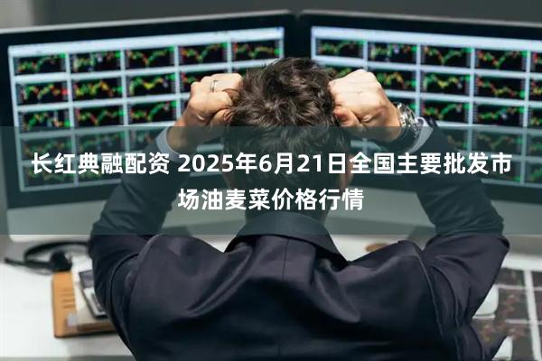 长红典融配资 2025年6月21日全国主要批发市场油麦菜价格行情