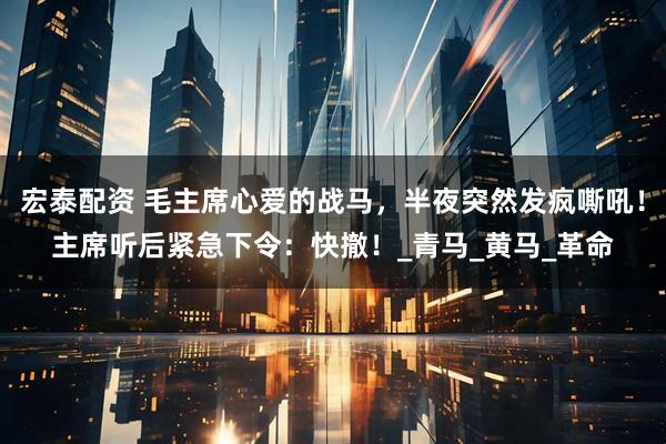 宏泰配资 毛主席心爱的战马，半夜突然发疯嘶吼！主席听后紧急下令：快撤！_青马_黄马_革命