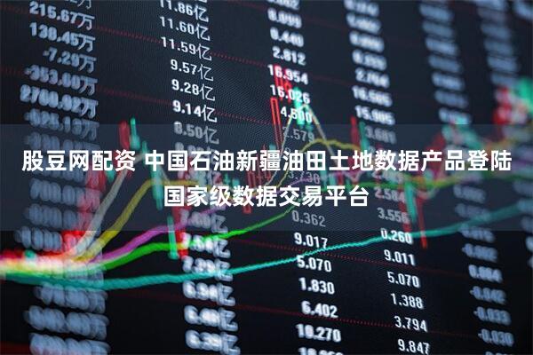 股豆网配资 中国石油新疆油田土地数据产品登陆国家级数据交易平台
