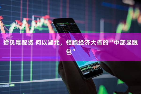 拾贝赢配资 何以湖北，领跑经济大省的“中部显眼包”