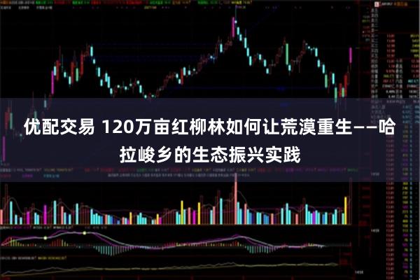 优配交易 120万亩红柳林如何让荒漠重生——哈拉峻乡的生态振兴实践